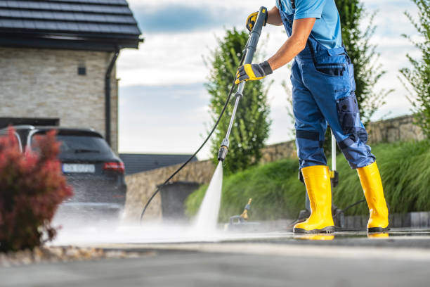 Best Fence Cleaning  in Brownsville, TN